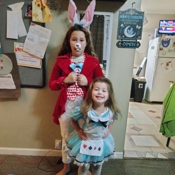 Alice in wonderland costume - Picture 7 of 8